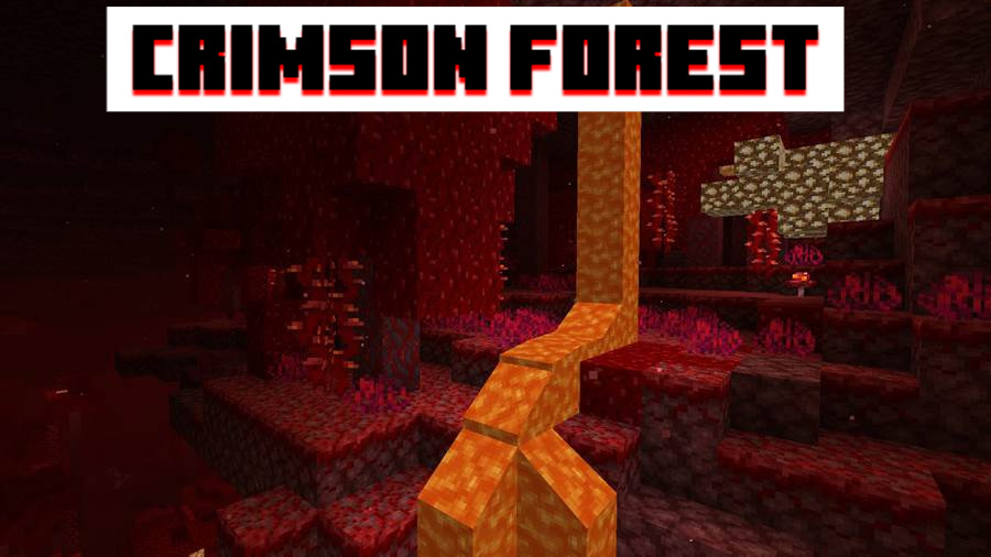 Crimson Forest in MCPE 1.16.200.53 