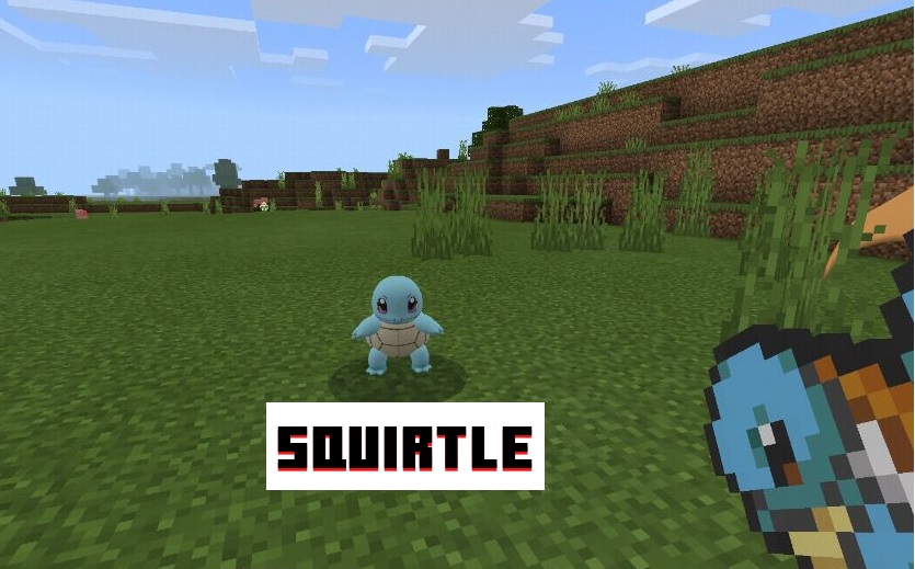 Squirtle